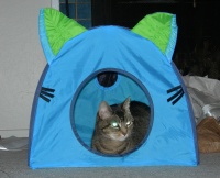 kitty house 1.jpg